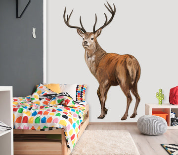3D Sika Deer Horn 183 Animals Wall Stickers Wallpaper AJ Wallpaper 