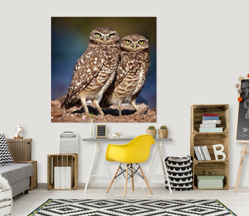 3D Burrowing Owl Buddies 006 Kathy Barefield Wall Sticker Wallpaper AJ Wallpaper 2 