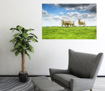 3D Prairie Sheep 113 Animal Wall Stickers Wallpaper AJ Wallpaper 2 