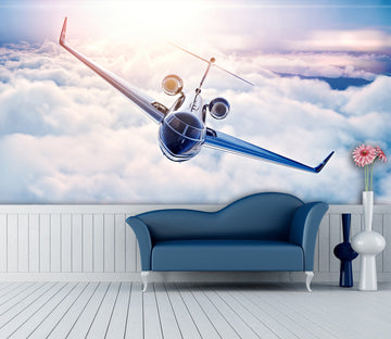 3D Sunshine Plane 268 Vehicle Wall Murals