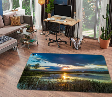 3D Lake 85061 Jerry LoFaro Rug Non Slip Rug Mat