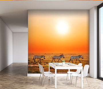 3D Sunset Zebra 246 Wall Murals