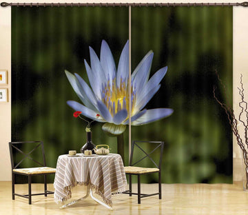 3D Wildflower 058 Kathy Barefield Curtain Curtains Drapes Curtains AJ Creativity Home 