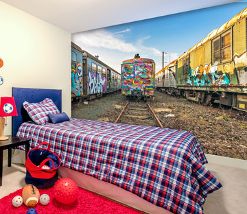 3D Painted Train 311 Vehicle Wall Murals