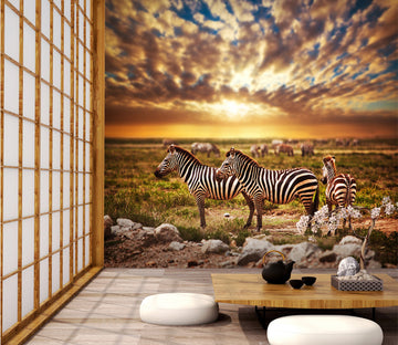 3D Sunset Zebra 280 Wall Murals