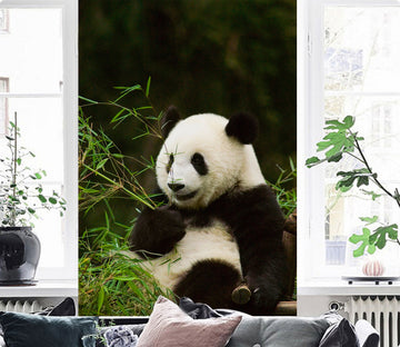 3D Panda Bamboo 126 Wall Murals