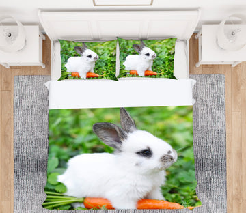 3D Bunny Carrot 12200 Bed Pillowcases Quilt