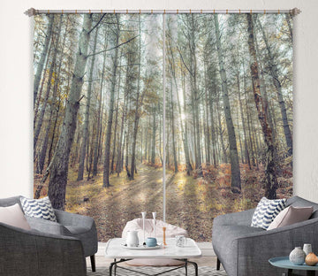 3D Sun Forest 6414 Assaf Frank Curtain Curtains Drapes