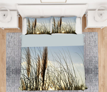 3D Reeds 13138 Bed Pillowcases Quilt