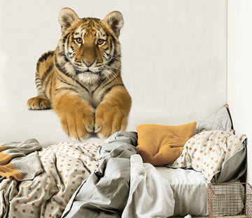 3D Leg Stretched Tiger 174 Animals Wall Stickers Wallpaper AJ Wallpaper 