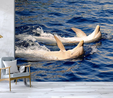 3D Dolphin Play 117 Wall Murals Wallpaper AJ Wallpaper 2 