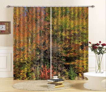 3D Roadside Foliage 61237 Kathy Barefield Curtain Curtains Drapes