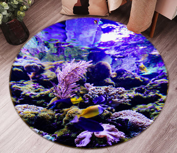 3D Fish 69102 Round Non Slip Rug Mat