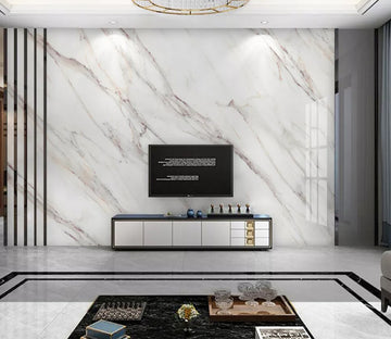 3D Line Drawing WC2239 Wall Murals