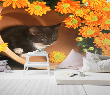 3D Chrysanthemum Kitten 168 Wall Murals Wallpaper AJ Wallpaper 2 