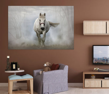3D Foggy White Horse 80 Animal Wall Stickers Wallpaper AJ Wallpaper 2 