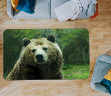 3D Bear 35193 Non Slip Rug Mat