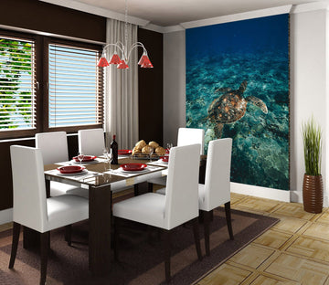 3D Turtle Swimming 121 Wall Murals Wallpaper AJ Wallpaper 2 