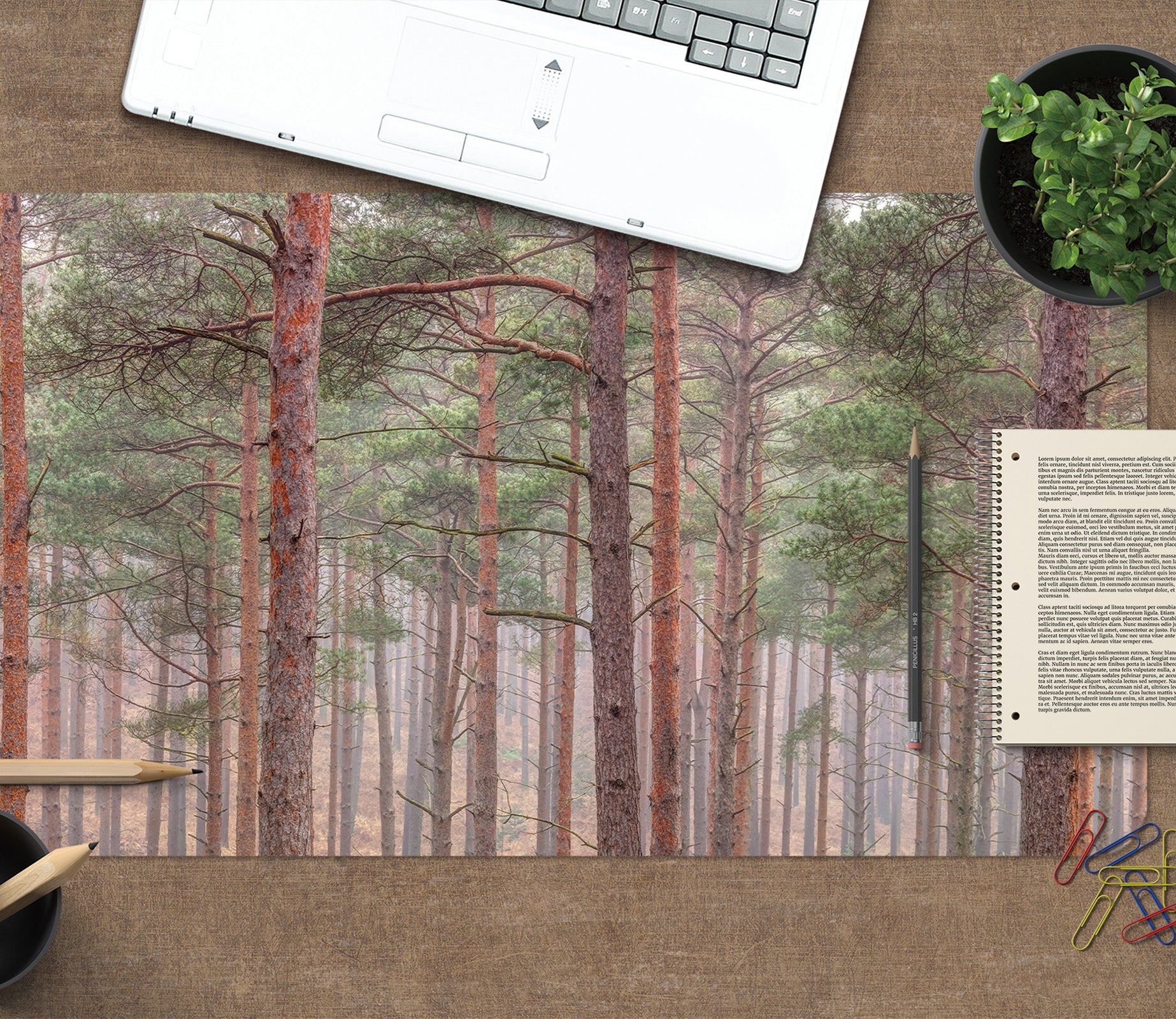 3D Green Trees 7753 Assaf Frank Desk Mat