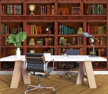 3D Bookshelf Trophy 1016 Wall Murals