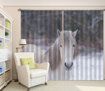 3D White Horse 6378 Assaf Frank Curtain Curtains Drapes