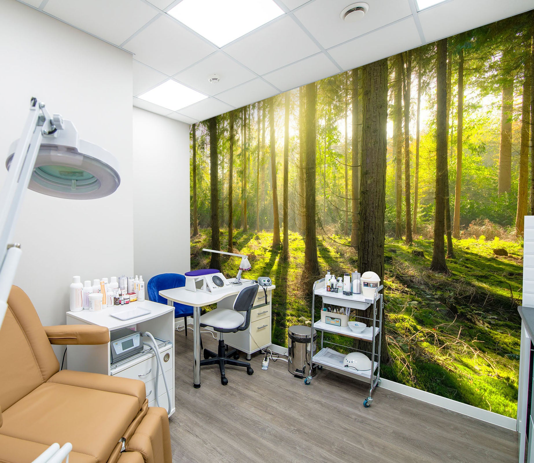 3D Woods Shadow Sunlight 319 Wall Murals