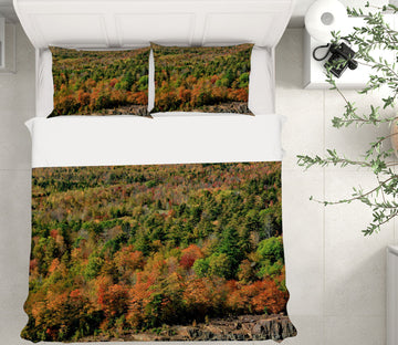 3D Red Orange Striation 62028 Kathy Barefield Bedding Bed Pillowcases Quilt