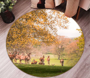 3D Wild Raindeer Coutry Park Autumn 82288 Animal Round Non Slip Rug Mat