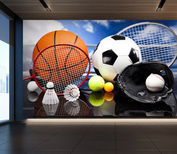 3D Ball Sports 250 Wall Murals