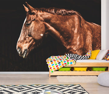 3D Brown Horse 157 Wall Murals Wallpaper AJ Wallpaper 2 
