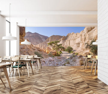 3D Grand Canyon 1428 Assaf Frank Wall Mural Wall Murals Wallpaper AJ Wallpaper 2 