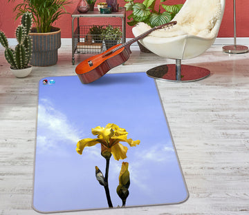 3D Flowers 11168 Matthew Holden Bates Rug Non Slip Rug Mat
