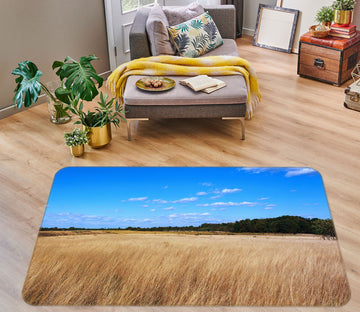 3D Paddy 75253 Non Slip Rug Mat