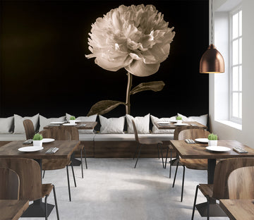 3D Elegant Flower 6221 Assaf Frank Wall Mural Wall Murals