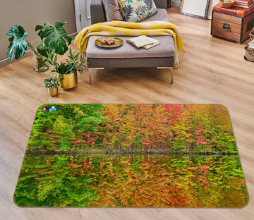 3D Fall Reflections 62043 Kathy Barefield Rug Non Slip Rug Mat