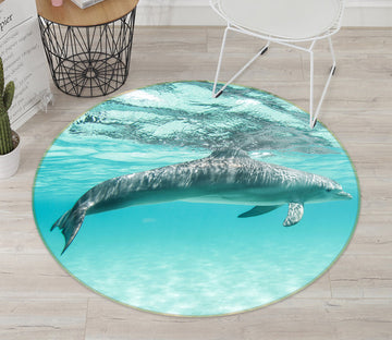 3D Dolphin 38076 Animal Round Non Slip Rug Mat