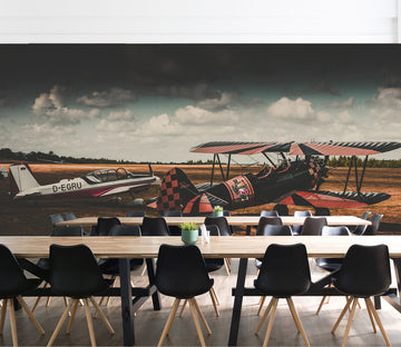 3D Panorama Aircraft 184 Vehicle Wall Murals