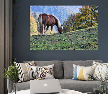 3D Grass Grazing Horse 63 Animal Wall Stickers Wallpaper AJ Wallpaper 2 