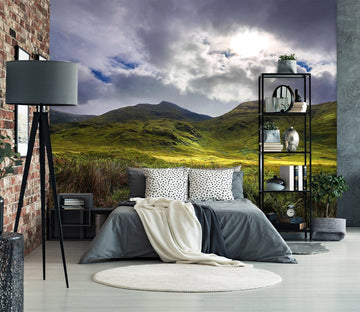 3D Green Mountain 110 Jerry LoFaro Wall Mural Wall Murals Wallpaper AJ Wallpaper 2 