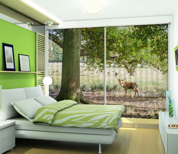 3D Sika Deer Tree 064 Assaf Frank Curtain Curtains Drapes