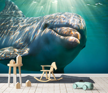 3D Sunny Dolphin 376 Wall Murals