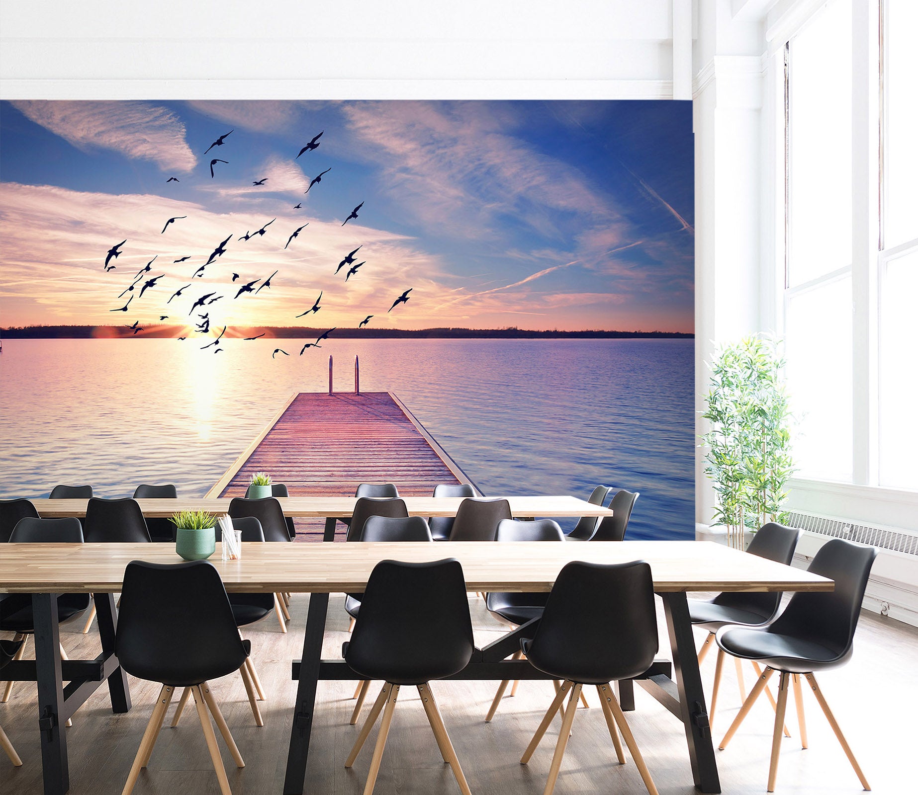 3D Sunlight Seagull 038 Wall Murals