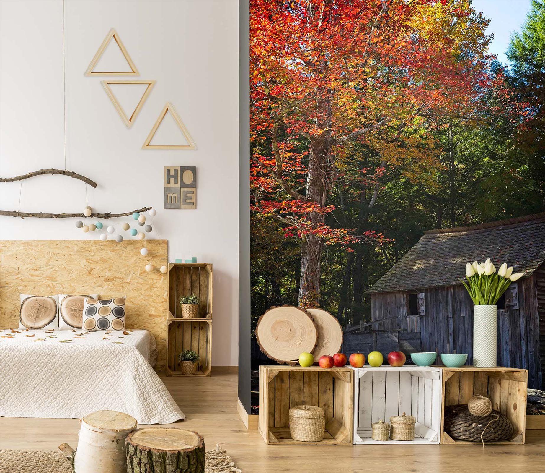3D Autumn 1399 Kathy Barefield Wall Mural Wall Murals Wallpaper AJ Wallpaper 2 