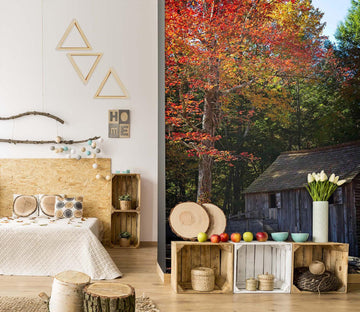 3D Autumn 1399 Kathy Barefield Wall Mural Wall Murals Wallpaper AJ Wallpaper 2 