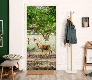 3D Meadow Tree Deer 10201 Assaf Frank Door Mural
