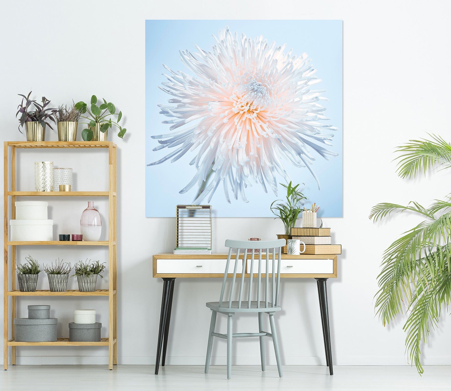 3D White Dandelion 021 Assaf Frank Wall Sticker Wallpaper AJ Wallpaper 2 