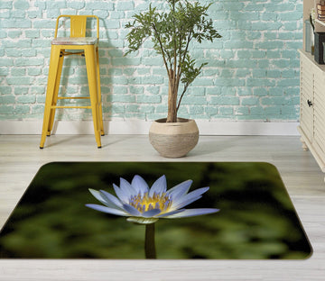 3D Floret 1114 Kathy Barefield Rug Non Slip Rug Mat Mat AJ Creativity Home 