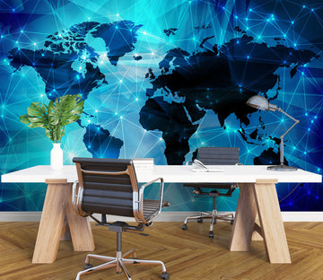 3D Data World Map 1101 Wall Murals