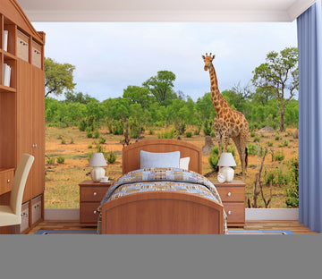 3D Giraffe Grassland 345 Wall Murals