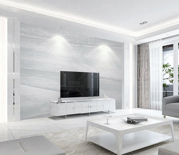 3D Texture Gray WG325 Wall Murals